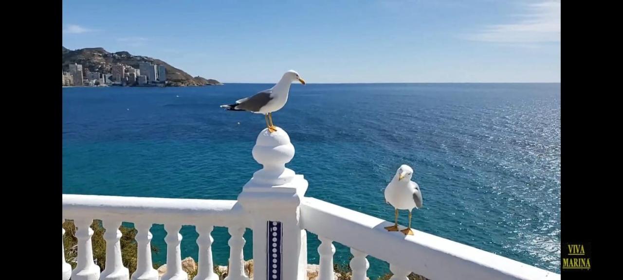 Apartamento Sun Beach Benidorm Esterno foto
